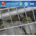 Best Sale Layer Cage for Big Farm to Use